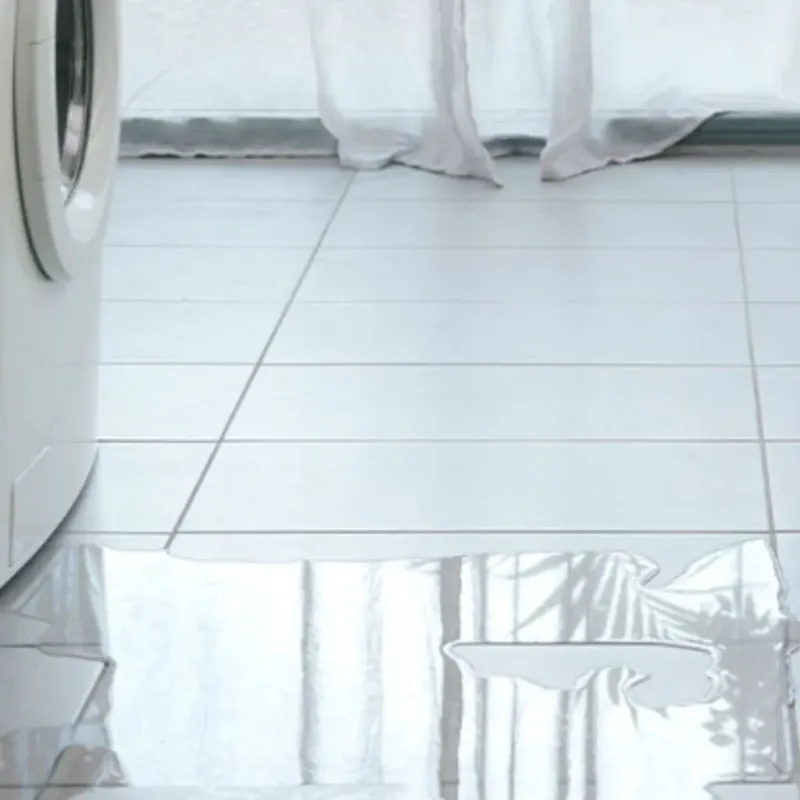 Appliance Leak Cleanup in Petersburg, IL