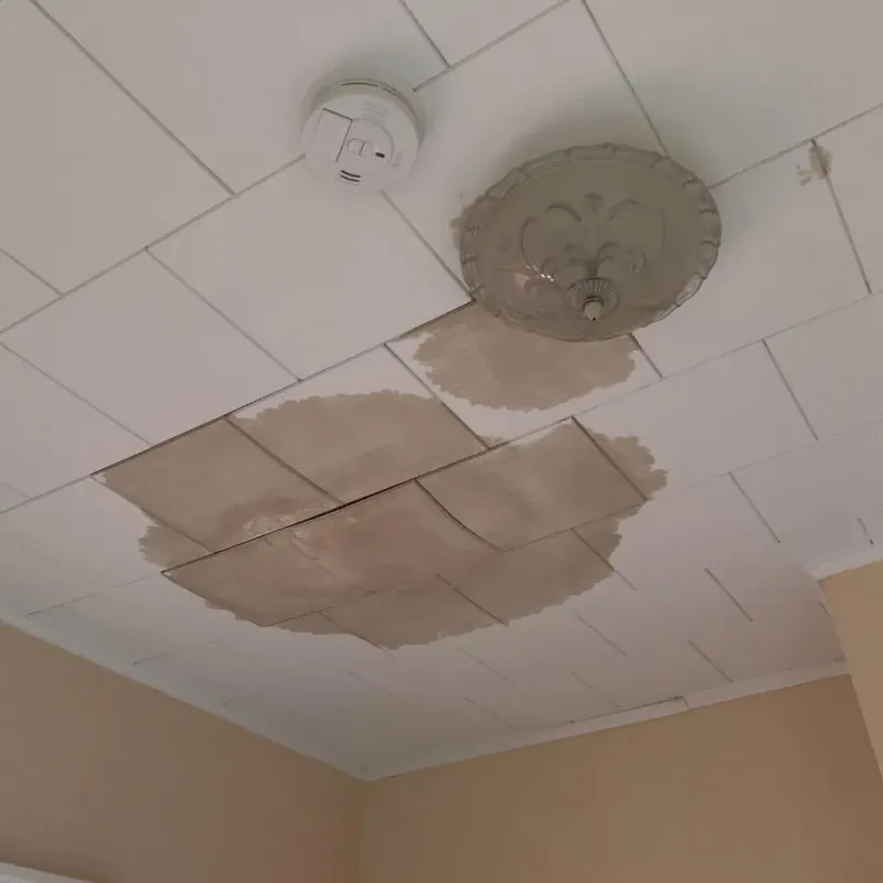 Ceiling Water Damage Repair in Petersburg, IL