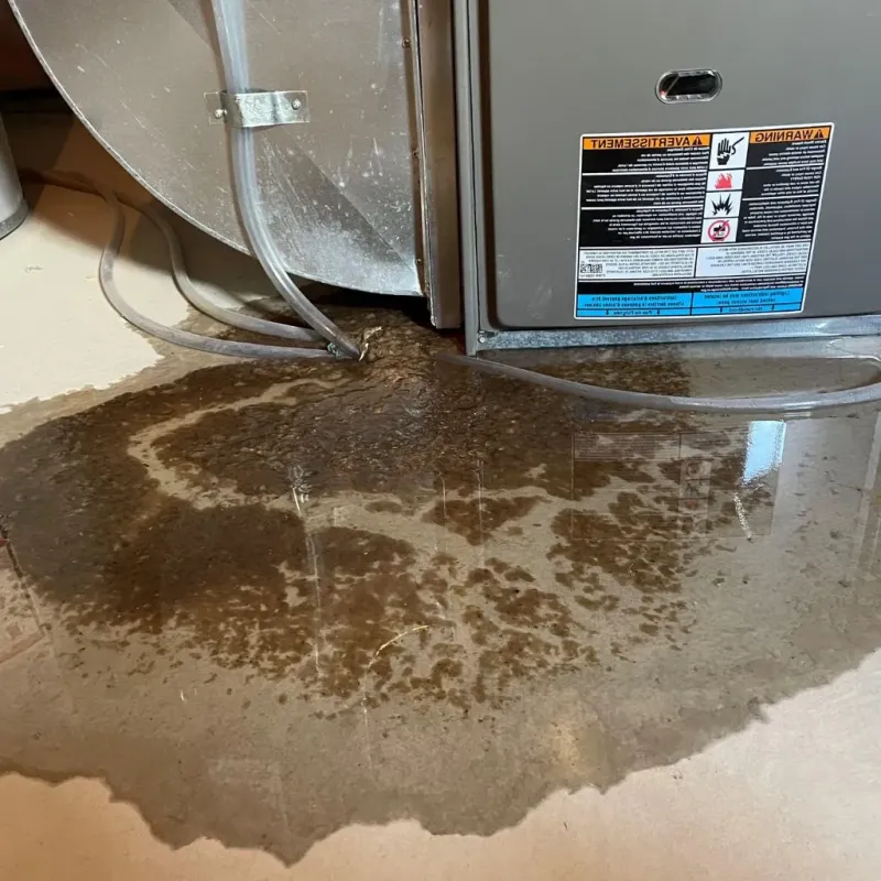 Pipe Burst and Leak Restoration in Petersburg, IL