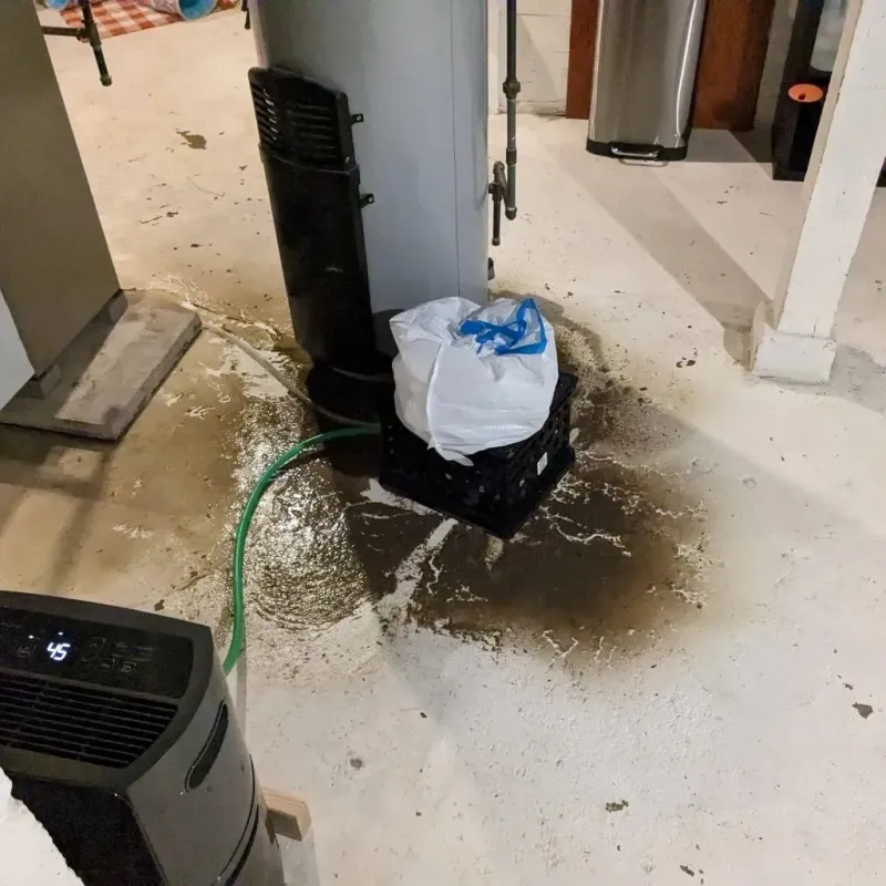 Sewage Backup Cleanup Service in Petersburg, IL